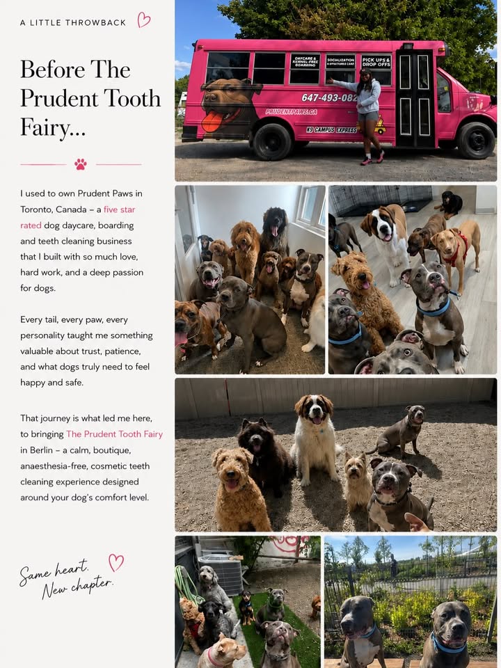 Shanice, founder of The Prudent Tooth Fairy