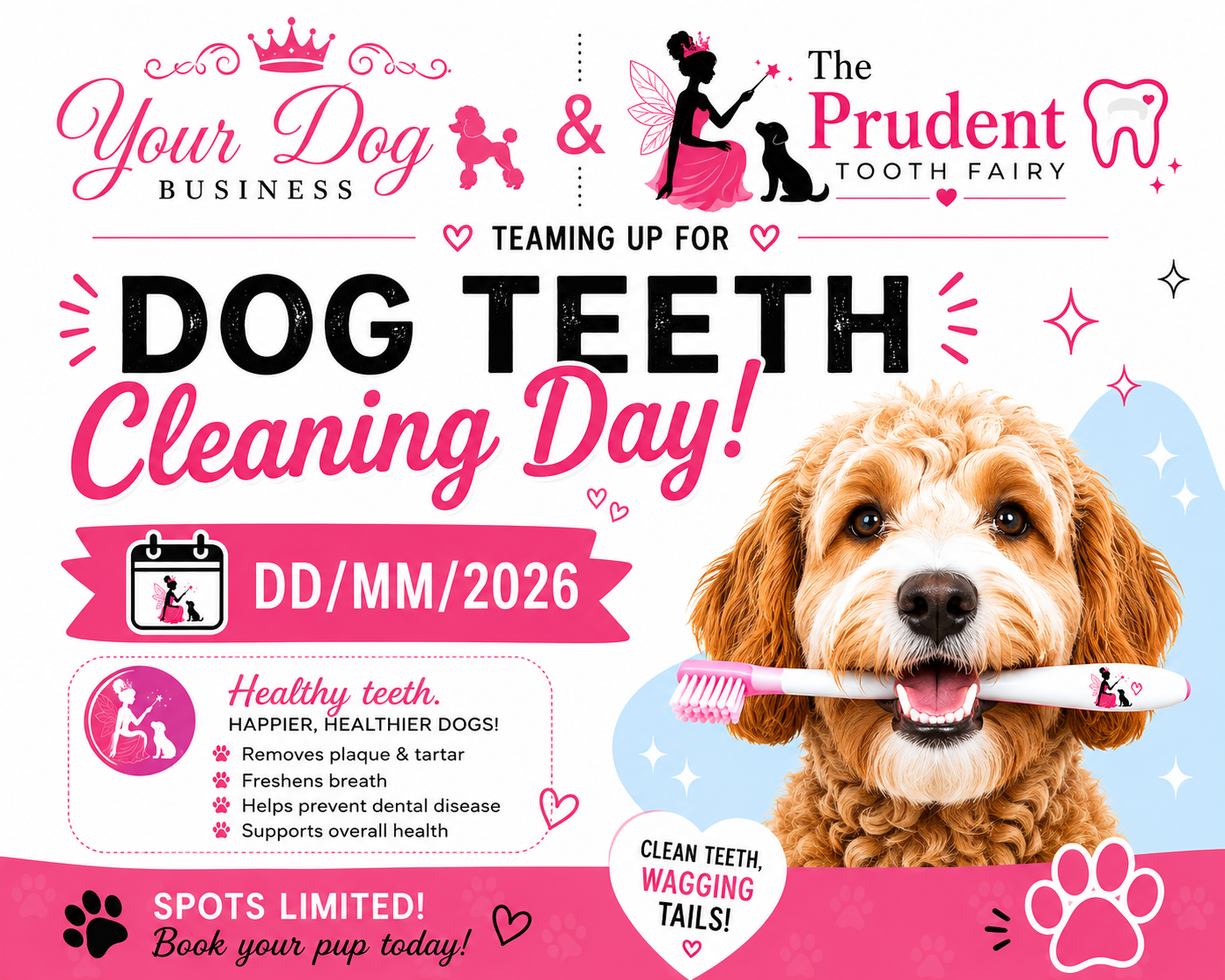 Dog Teeth Cleaning Day partnership flyer