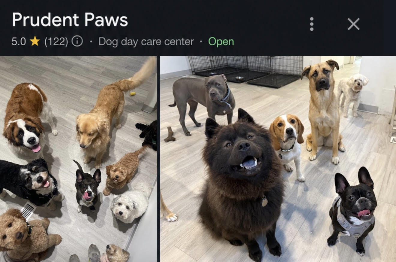 Prudent Paws — 5.0 stars, 122 reviews on Google